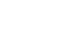 MN Logo - white